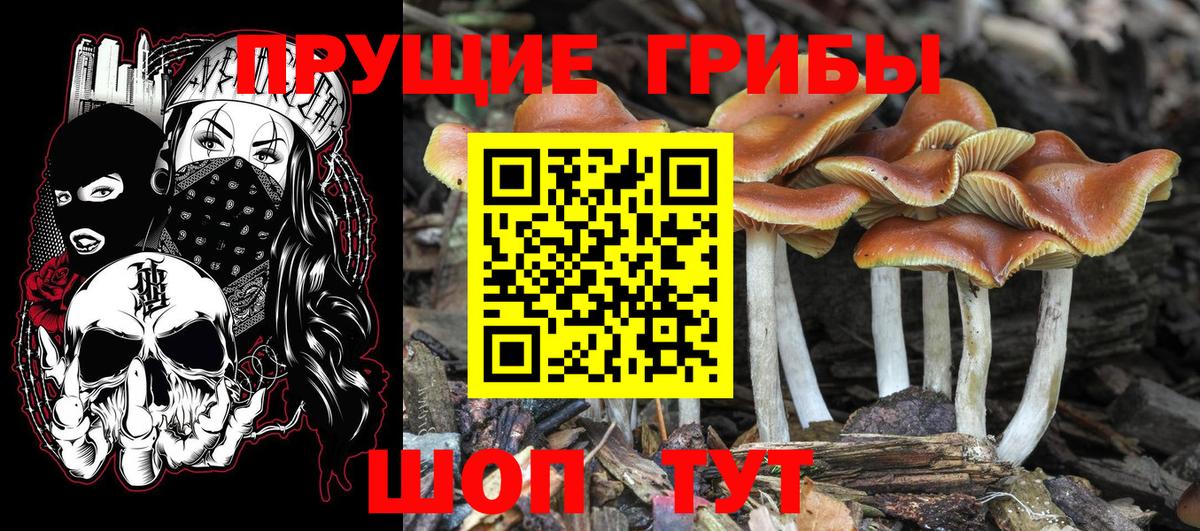 Псилоцибиновые грибы MAGIC MUSHROOMS  Псилоцибиновые грибы Psilocybe  Фурманов  купить  сайты  Вход с VPN 